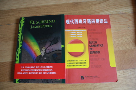 西语小说（厚），2欧 现代西班牙语应用语法 2欧
